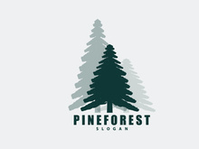 Forest Logo, Vector Forest Wood With Pine Trees Design