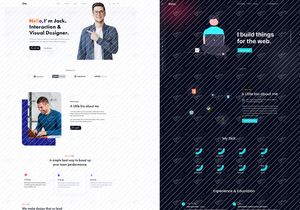 2 in 1 Portfolio Website Design