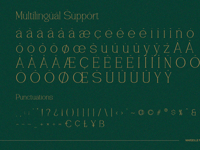 Vantique - Serif Font