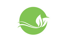 Nature leaf eco green logo icon