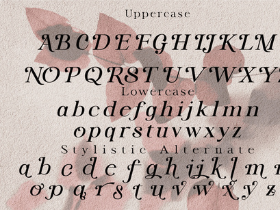 Lite Vallent, a delightful serif typeface