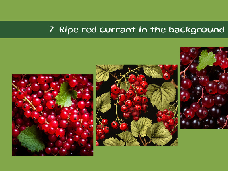Ripe red currant in the background