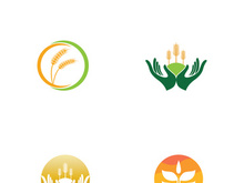 Organic wheat farm logo template.