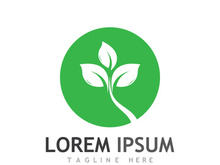 Natural green leaf logo design.