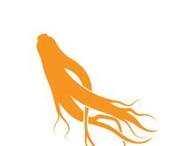 Ginseng logo design template and symbol icon vector illustration