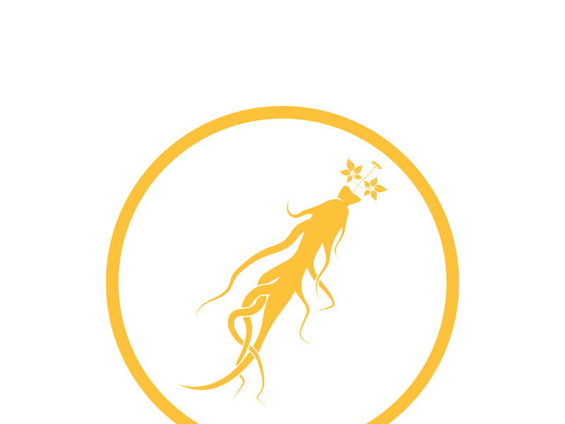 Ginseng logo design template and symbol icon vector illustration