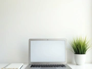 Minimal desk workspace with laptop, notebook, and indoor plant