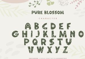Pure Blossom - Decorative Display Font