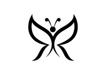 Butterfly logo vector design