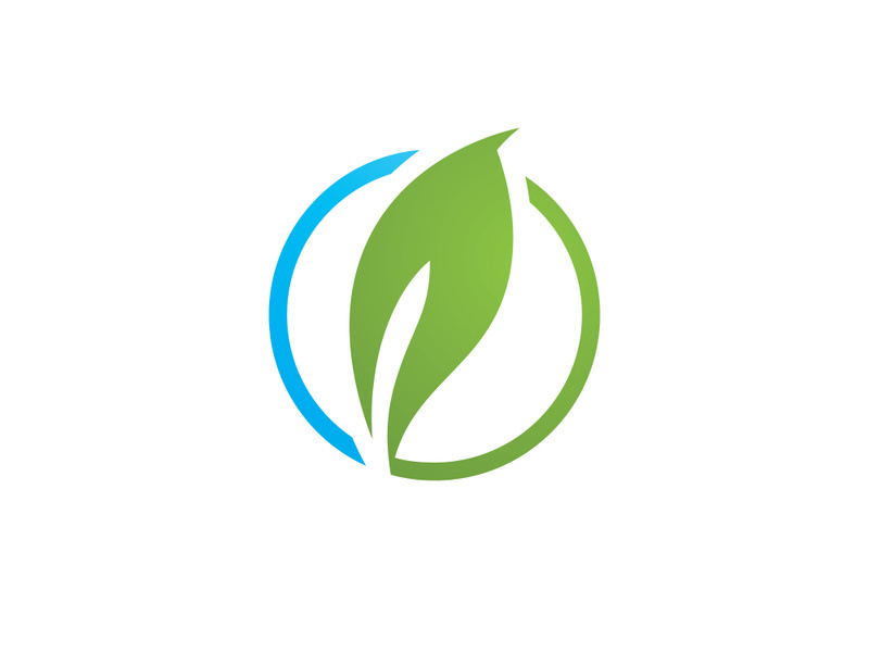 Green leaf logo  Nature icon design