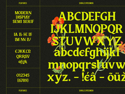 Sirkle - Semi Serif Display