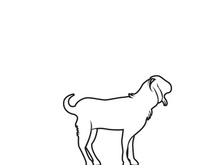 Goat Logo Template vector icon illustration design