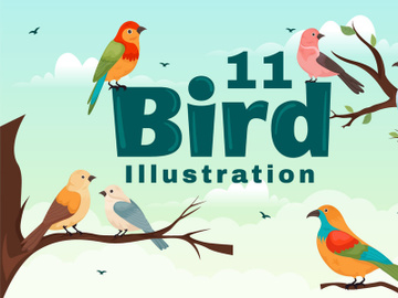 11 Bird Animal Vector Illustration preview picture