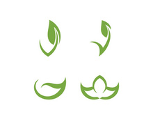 Vegan leaf green eco logo nature