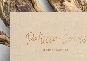 Free Demo Winter Paradise Script Font