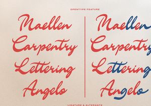 Castellan Solastre | Vintage Script