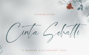Cinta Sehatti - Calligraphy Script Font