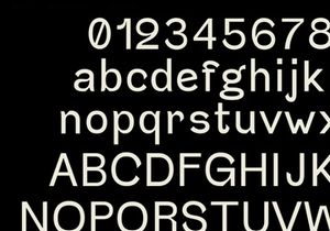 FUNGIS - Free Typeface