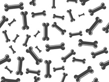 Bone icon design illustration