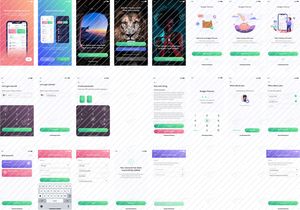 Budget Planner - Onboarding Screens