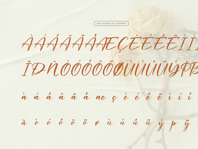 Waiting Cassey | Handwritten Script Font
