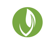 Vegan leaf green eco logo nature