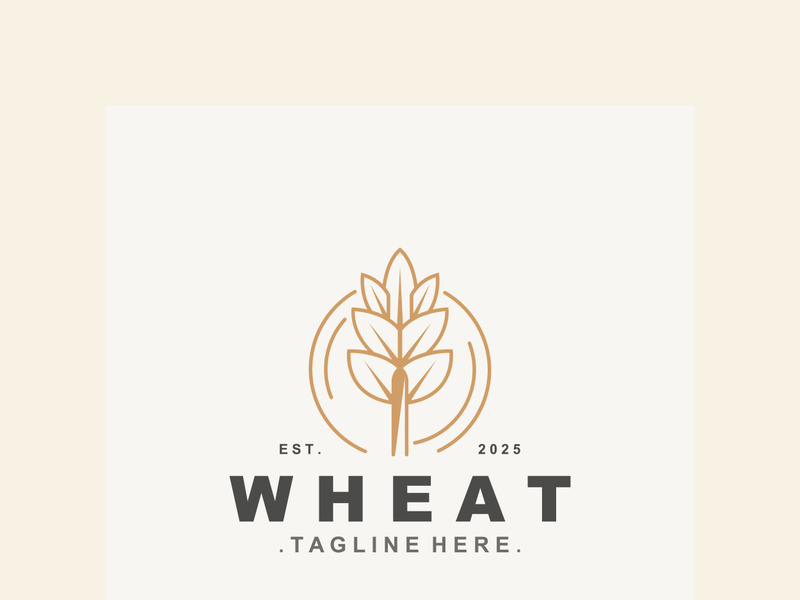 Wheat logo concept, agriculture nature wheat grain logo template