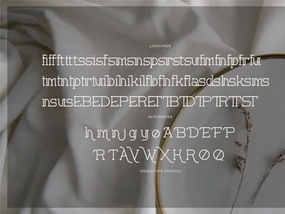Corina Elegant | Modern Slab Serif