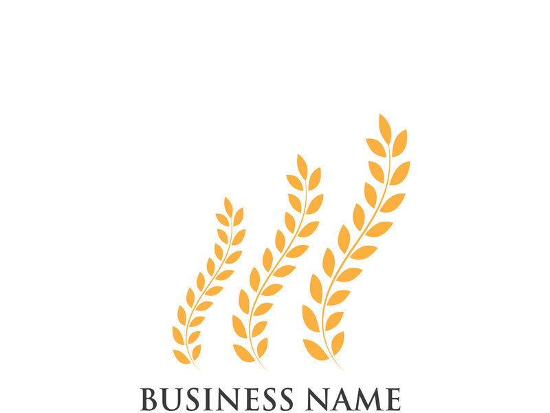 Agriculture wheat logo and symbol vector