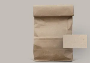 Free PSD Paper Bag Mockup