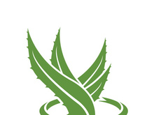 Aloe Vera logo icon design symbol beauty skin care
