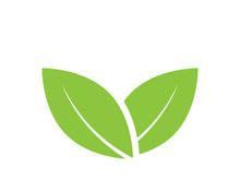 Green tree leaf nature logo images illustration design