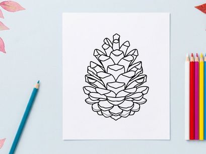 Close-up de um cone de pinheiro em fundo branco. Detalhe botânico natural para temas de natureza e feriados.