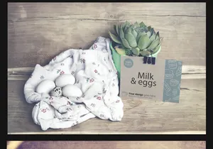Organic Food Photo Mockup Milk & Eggs Vol.2