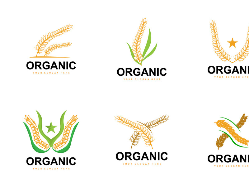 Wheat Rice Logo Vector Design