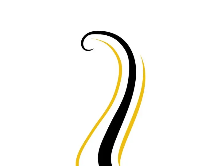 Elegant Wavy Hair Salon Logo Template