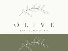 Hand drawn Botanical logo,leaf and natural olive fruit .Herbal, olive oil,cosmetic or beauty.