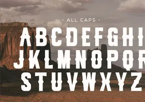 Scream - Vintage Western Sans Serif