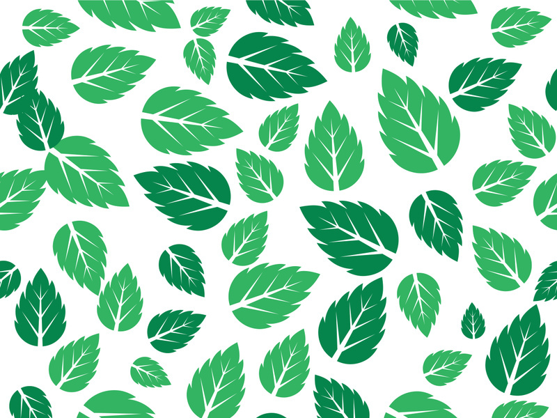 Mint Leaf icon template  illustration