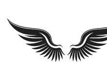 black bird wing logo vector