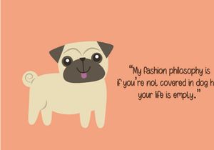 Heylie - Cute Playful Display