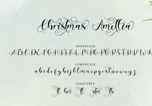Christmas Amellia