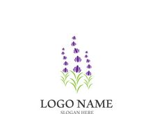 Lavender flower vector icon illustration design template
