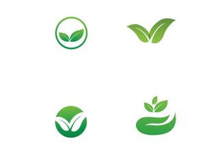 nature leaf logo