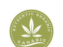 Mariuhana leaf symbol, marijuana or hemp icon, cannabis medical sign, weed drug vector illustration