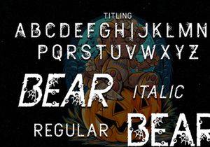 Dead Bear