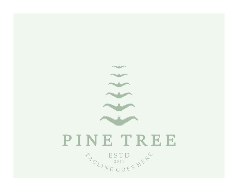 simple pine or fir tree logo,evergreen.for pine forest,adventurers,camping,nature,badges and business.vector