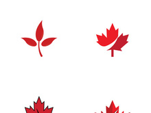 Canadian maple leaf logo design with a creative idea.