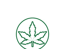 Canabis leaf logo and symbol vector
