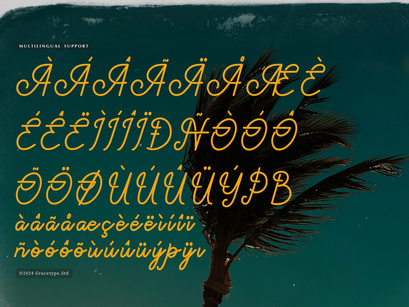 Paradise Gallaiso | Monoline Script Typeface